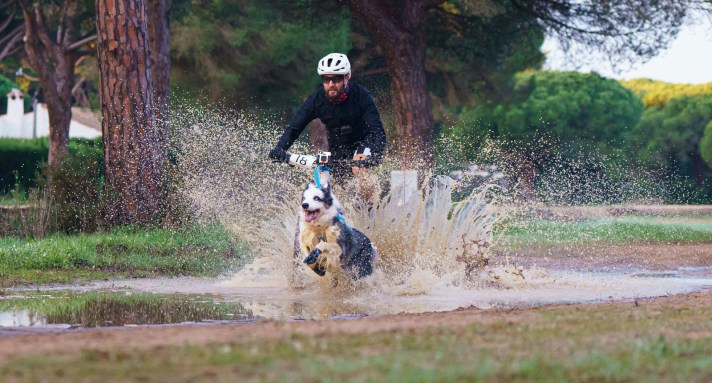 Éxito rotundo en el III Mushing Tierra Conil