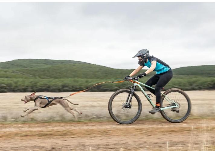 Entrevista a Virtudes Sánchez del Club Canicross Cádiz en Conil Deportivo